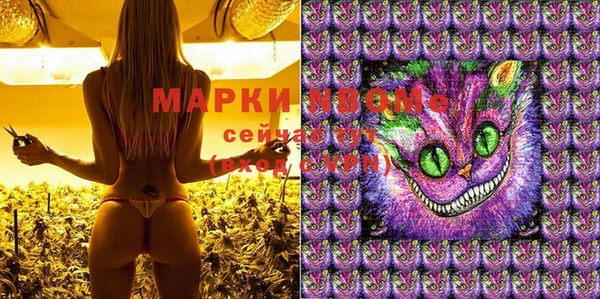 гашик Коряжма