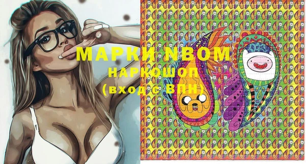 гашик Коряжма